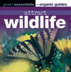 Attract Wildlife - helping wildlife begins in your garden - Green Essentials 