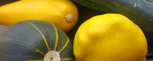 Courgette Collection