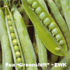 Pea ~ Greenshaft (untreated seed)