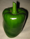 Grafted Sweet Pepper ~ Bell Boy F1 (April)