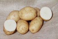 Maris Bard AGM - 1kg bag - Organic seed potato (February)