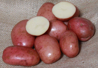 Sarpo Mira - 1kg bag - Organic seed potato (February)