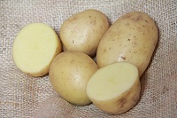 Orla AGM - 1kg bag - Organic seed potato (February)