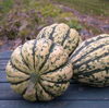 Squash ~ Harlequin F1 (May)